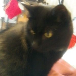 Meet your Posher, Ed